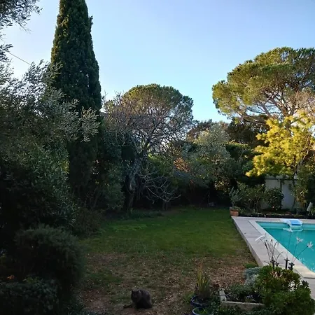 Studio: Quiet Oasis With Pool In Villeneuve-lès-avignon Apartment
