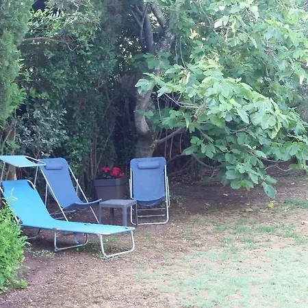 Et Calme Les Avignon Entree Et Cour Independantes Climatisation Piscine Parking شقة فينوف ليز أفيجْنْ